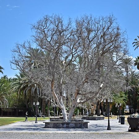 La Huerta Hotel San Ignacio (Baja California Sur) Exterior foto