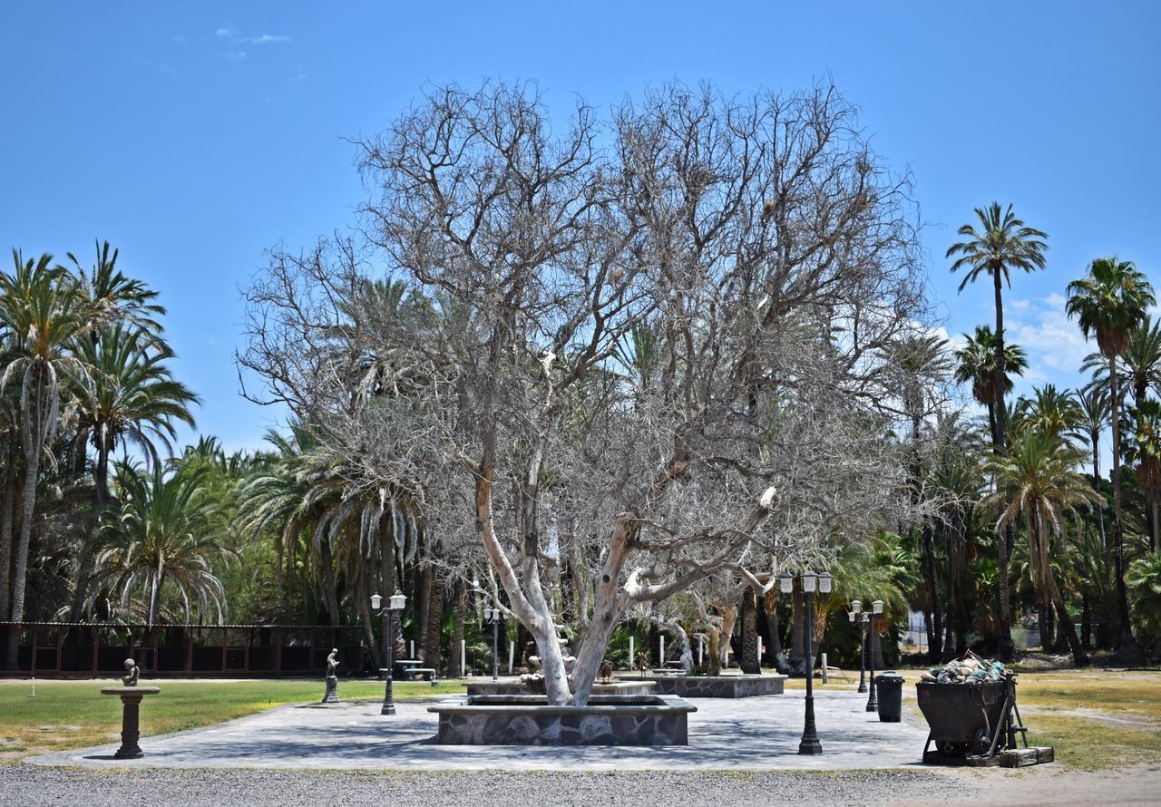La Huerta Hotel San Ignacio (Baja California Sur) Exterior foto
